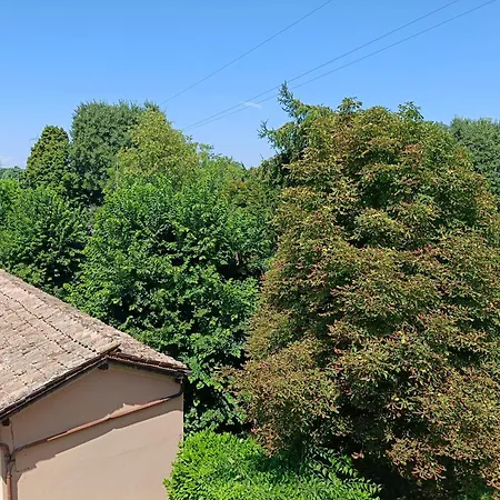 Nuovo 2 Tra E Maranello Ferrari *