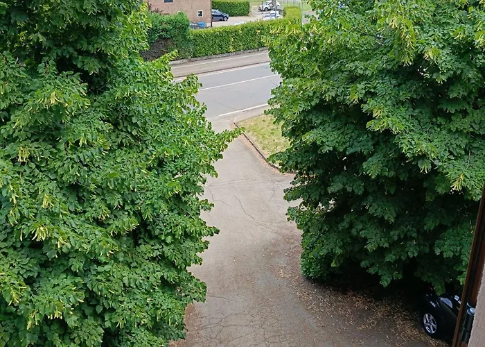 Nuovo 2 Tra E Maranello Ferrari Modena